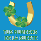 Tus Numeros de la Suerte icône