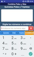 Combina Pales y Mas スクリーンショット 2