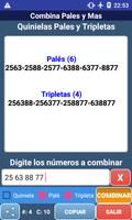 Combina Pales y Mas スクリーンショット 3