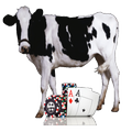 CowPoker