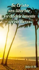 Baixar Frases e citações para foto XAPK