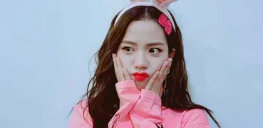 Jisoo Blackpink Calling You
