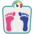 Advanced BMI & BMR Calculator Ideal Weight