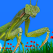 Bugs & Insects VR/AR Kid Game 圖標