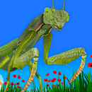 Bugs & Insects VR/AR Kid Game APK