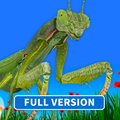 ”Bugs & Insects (Full version)