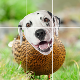 Lustige Tiere Zeichen
