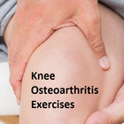 Knee Osteoarthritis Exercises icône