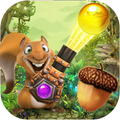 Squirrel Pop