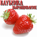 Клубника. Выращивание-APK