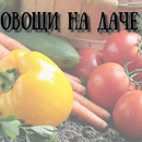 Овощи на даче APK