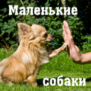 Маленькие собаки APK