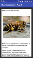 Пчеловодство от А до Я screenshot 1