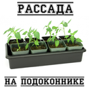 Рассада на подоконнике-APK