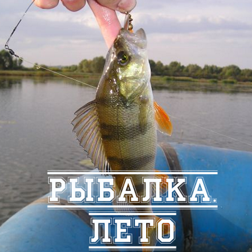 Рыбалка. Лето