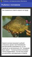 Рыбалка с поплавком Plakat