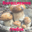 Выращивание грибов