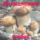 Выращивание грибов Zeichen
