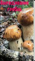 Выращивание грибов โปสเตอร์