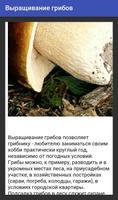 Выращивание грибов Screenshot 1