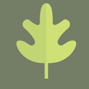 Internshape APK