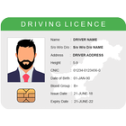 Verify Driving Licence - PK icon