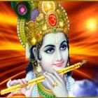 Krishna Status icône