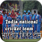 India national cricket team icône