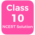 Class 10 NCERT Solutions icône