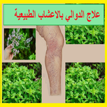 علاج الدوالي بالاعشاب الطبيعية