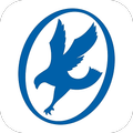 KOC , Kuwait Oil Company