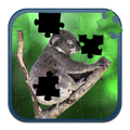 Jigsaw for Koala game Puzzle