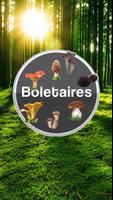 Boletaires Affiche