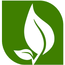 APK Kodai Herbal | Online Shop