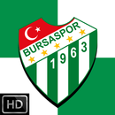 4K HD Bursaspor Duvar Kağıtlar APK