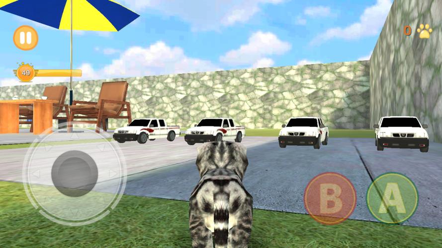 Kitten Cat Simulator For Android Apk Download