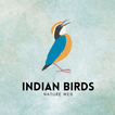 ”Indian Birds