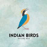 Indian Birds