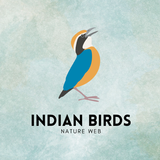 Indian Birds APK