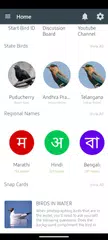 Indian Birds XAPK download