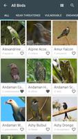 Indian Birds ảnh chụp màn hình 1