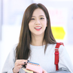 Jisoo Blackpink Wallpaper HD icon