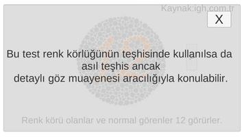 Renk Körlüğü Testi 스크린샷 2