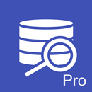 SQLite Viewer Pro APK