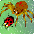 Home of Angry Spider