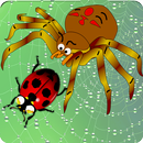 Home of Angry Spider APK