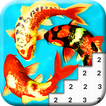 Koi Fish Coloring Book 2022