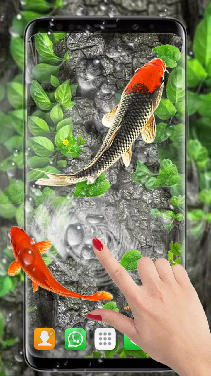 Android向けの魚のライブ壁紙3d 水族館鯉の背景 Apkをダウンロードしましょう