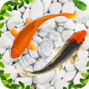Koi Wallpapers APK