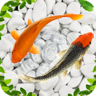 Koi Wallpapers آئیکن